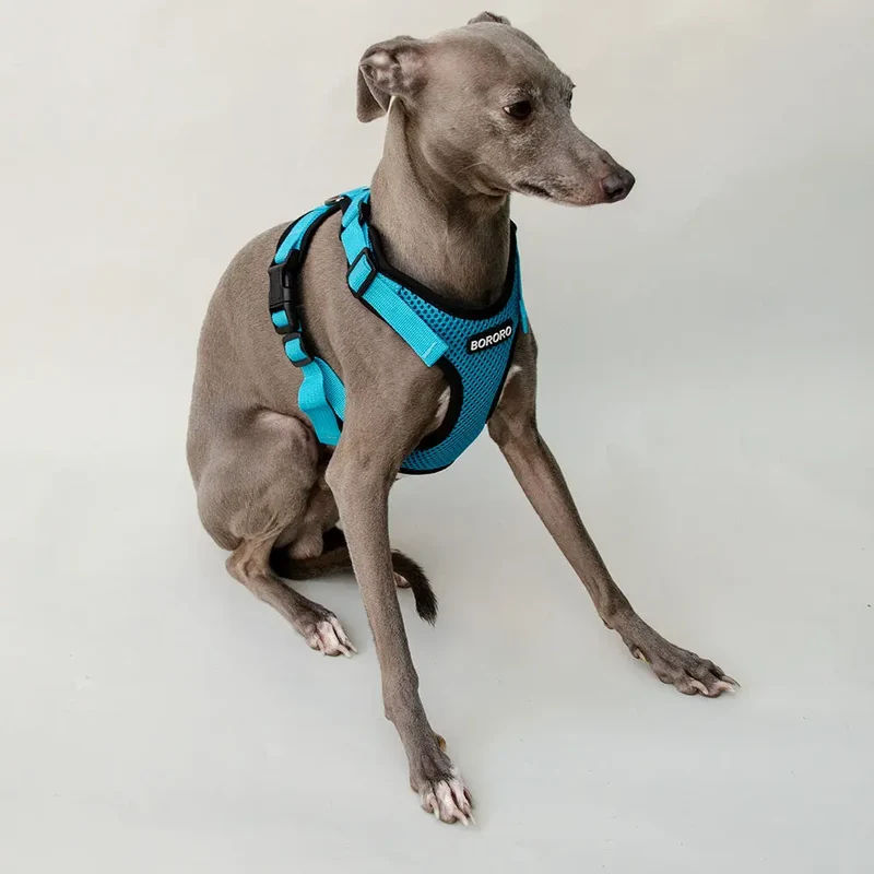 das verstellbare Hundegeschirr - "air mesh"