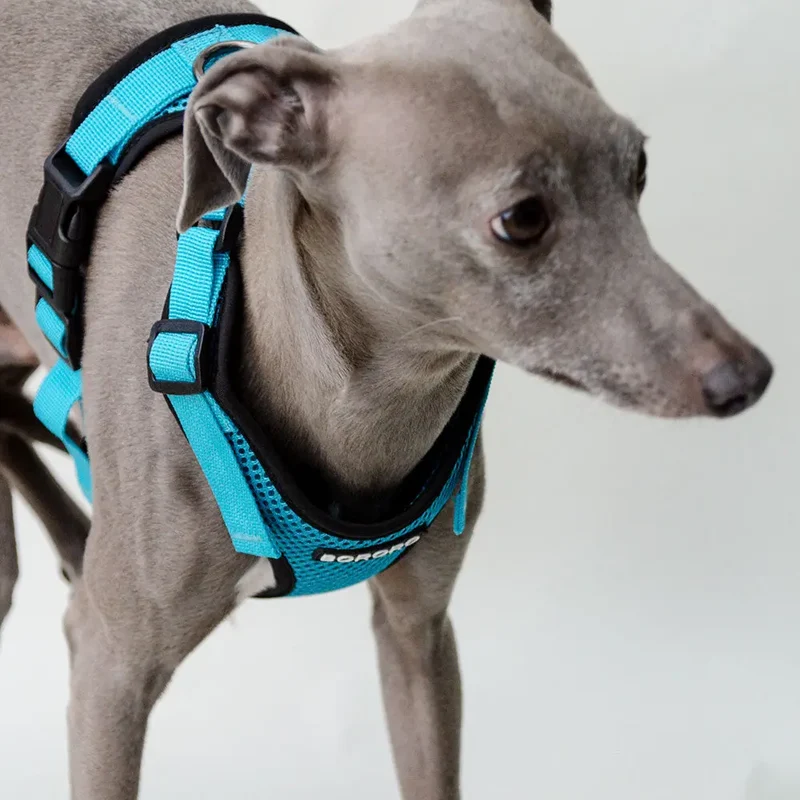das verstellbare Hundegeschirr - "air mesh"