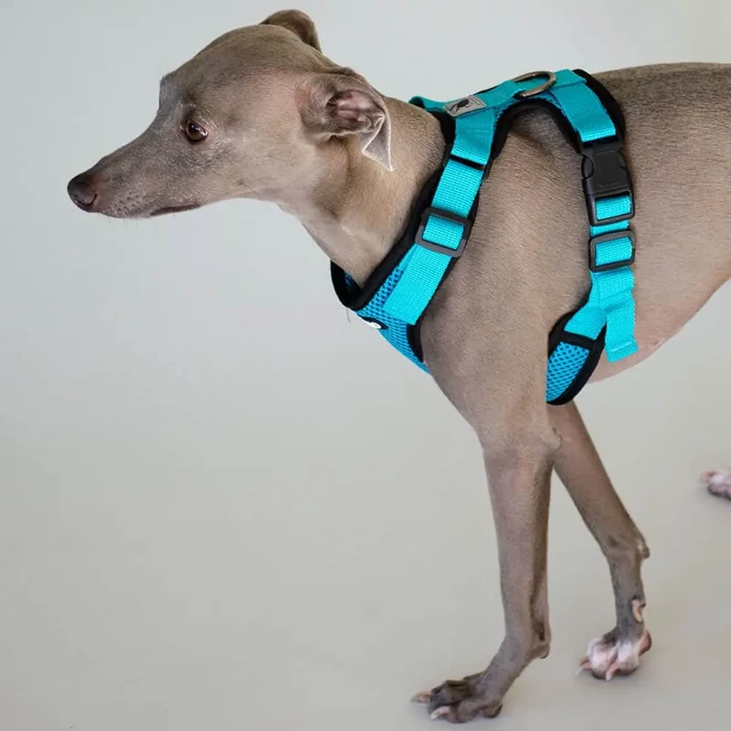 das verstellbare Hundegeschirr - "air mesh"