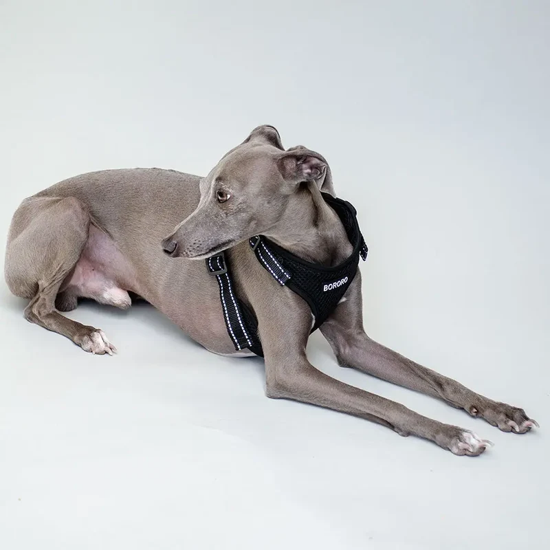 das verstellbare Hundegeschirr - "air mesh"