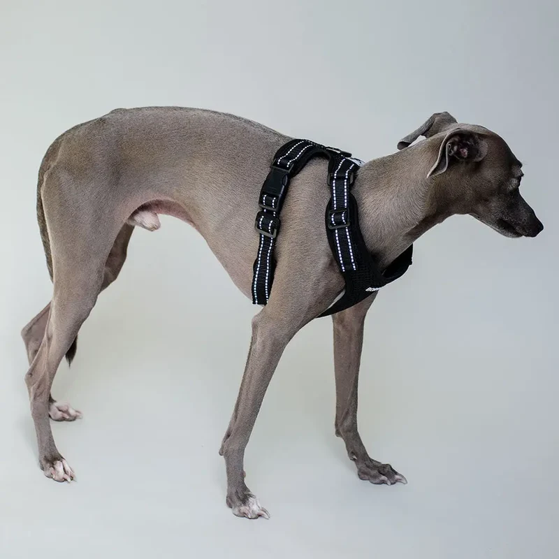 das verstellbare Hundegeschirr - "air mesh"