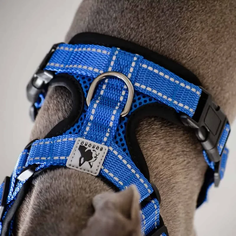 das verstellbare Hundegeschirr - "air mesh"