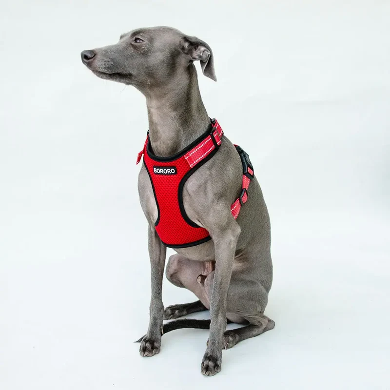 das verstellbare Hundegeschirr - "air mesh"