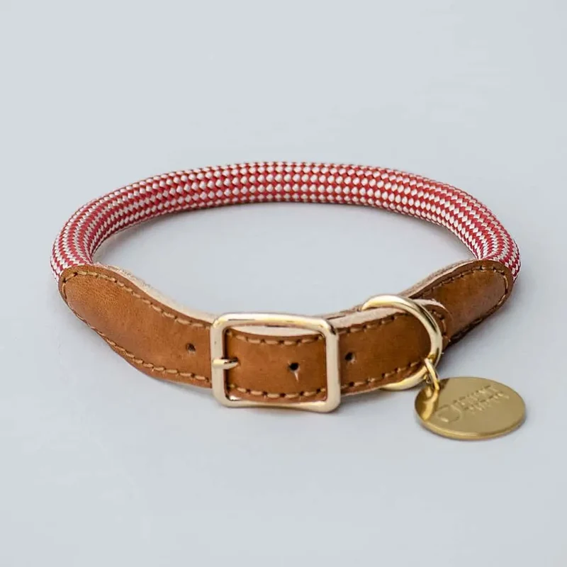 Das robuste Halsband "Mountain" - rot
