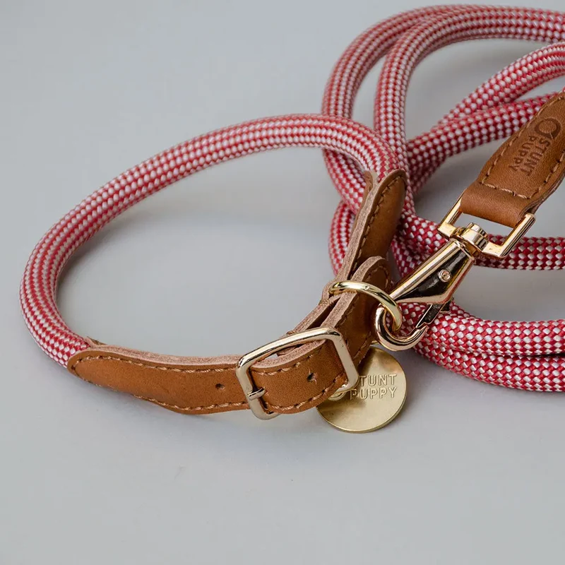 Das robuste Halsband "Mountain" - rot