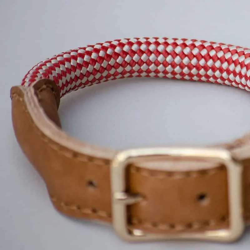 Das robuste Halsband "Mountain" - rot