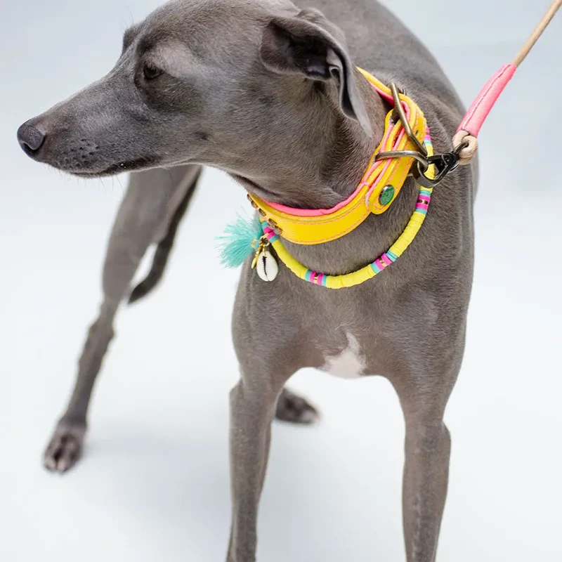 Bohemian Hundekette - "ibiza jewel YELLOW"