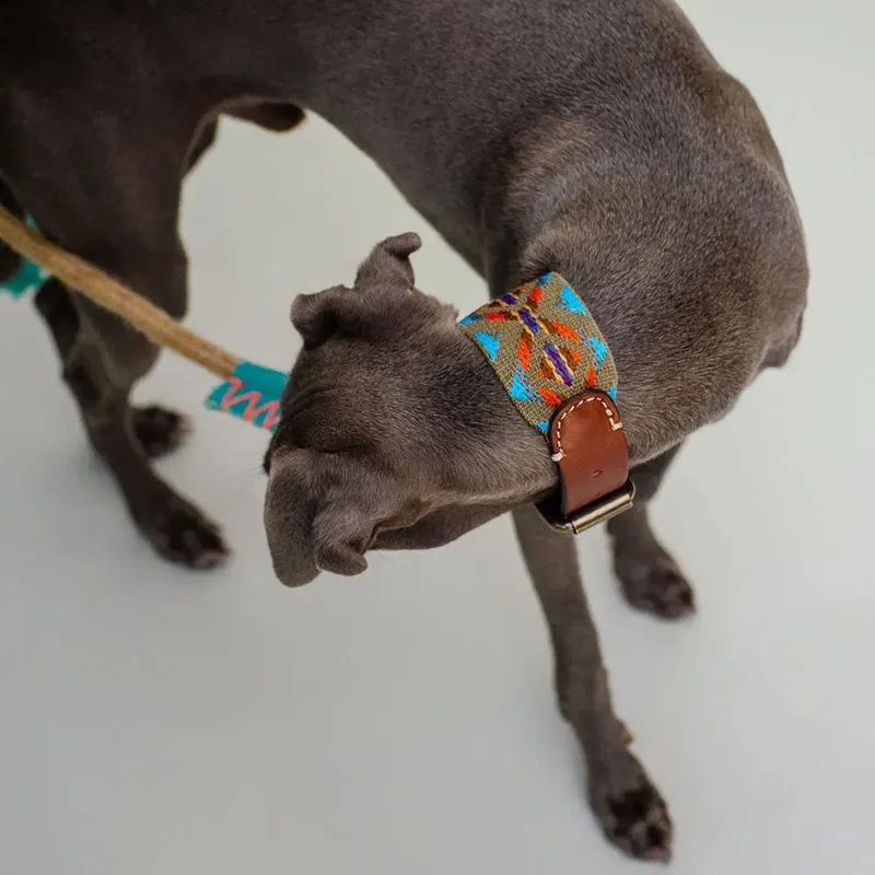 Bohemian Hundehalsband - "Olive Boheme Collar" - Buddys