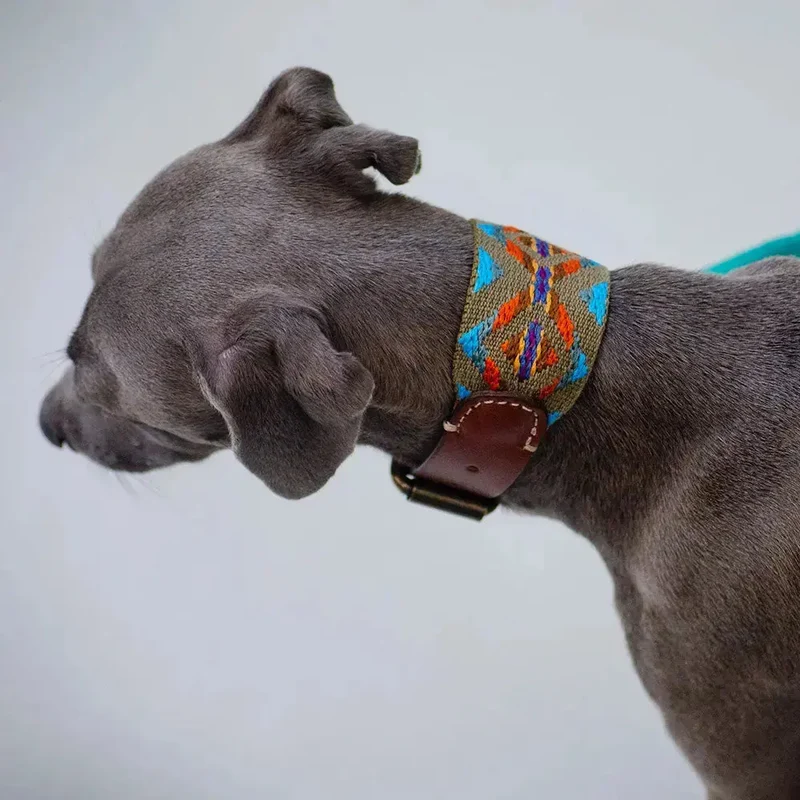 Bohemian Hundehalsband - "Olive Boheme Collar" - Buddys