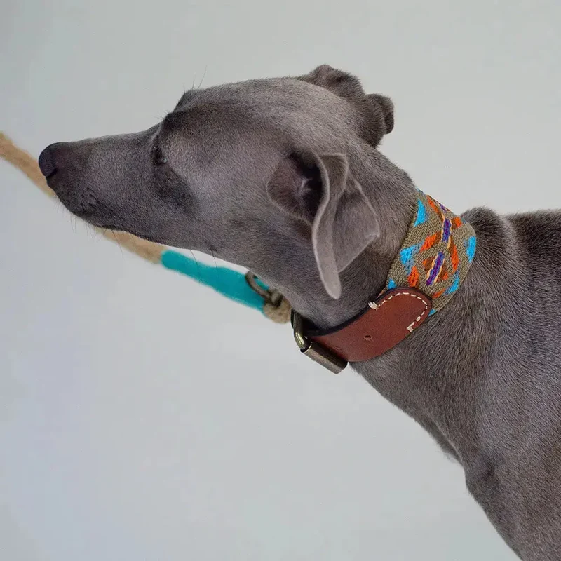 Bohemian Hundehalsband - "Olive Boheme Collar" - Buddys