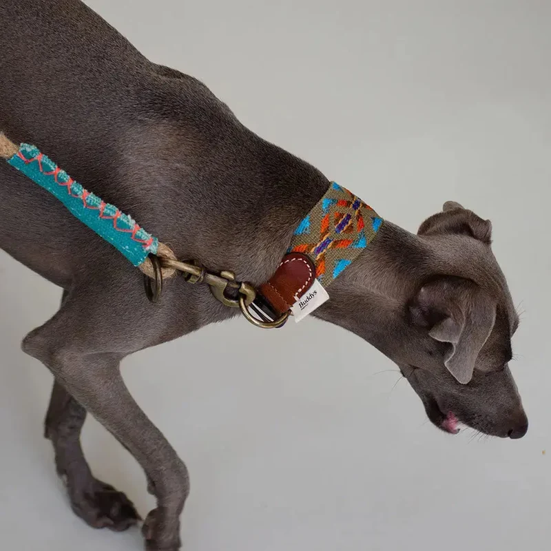 Bohemian Hundehalsband - "Olive Boheme Collar" - Buddys