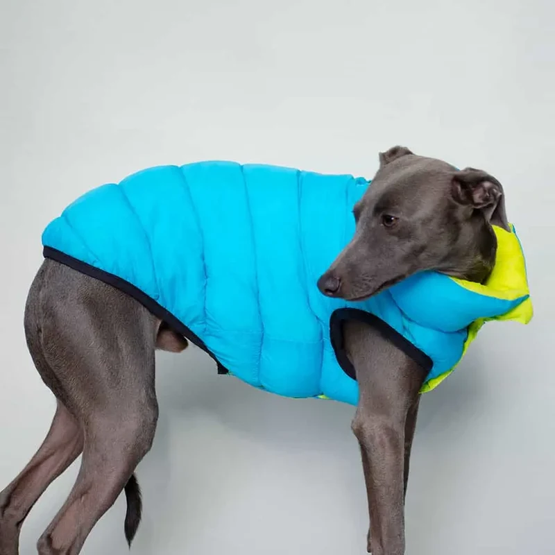 Wendejacke für Hunde "ICE"