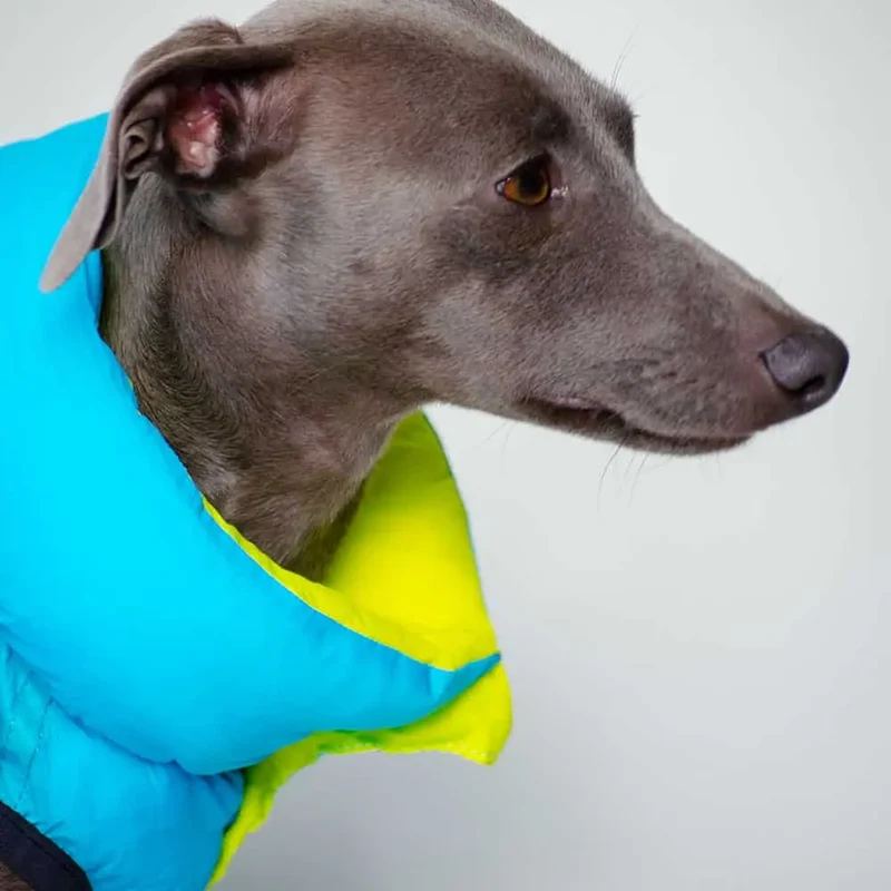 Wendejacke für Hunde "ICE"