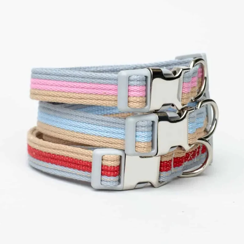 Welpen Hundehalsband "Collar Nylon Happy Weekend"
