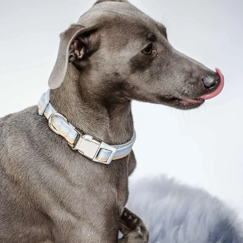 Welpen Hundehalsband "Collar Nylon Happy Weekend"