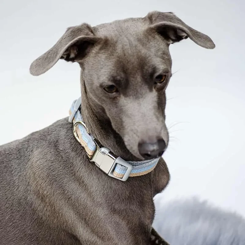 Welpen Hundehalsband "Collar Nylon Happy Weekend"