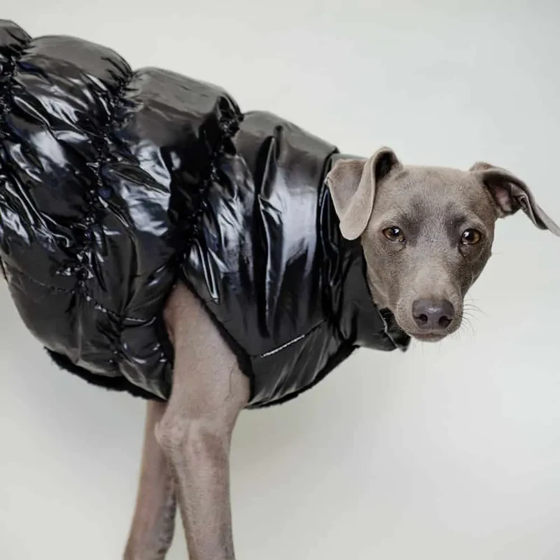 Hundemantel "MonPetit" - schwarz