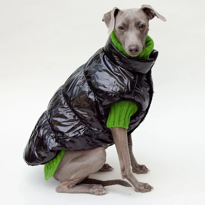 Hundemantel "MonPetit" - schwarz