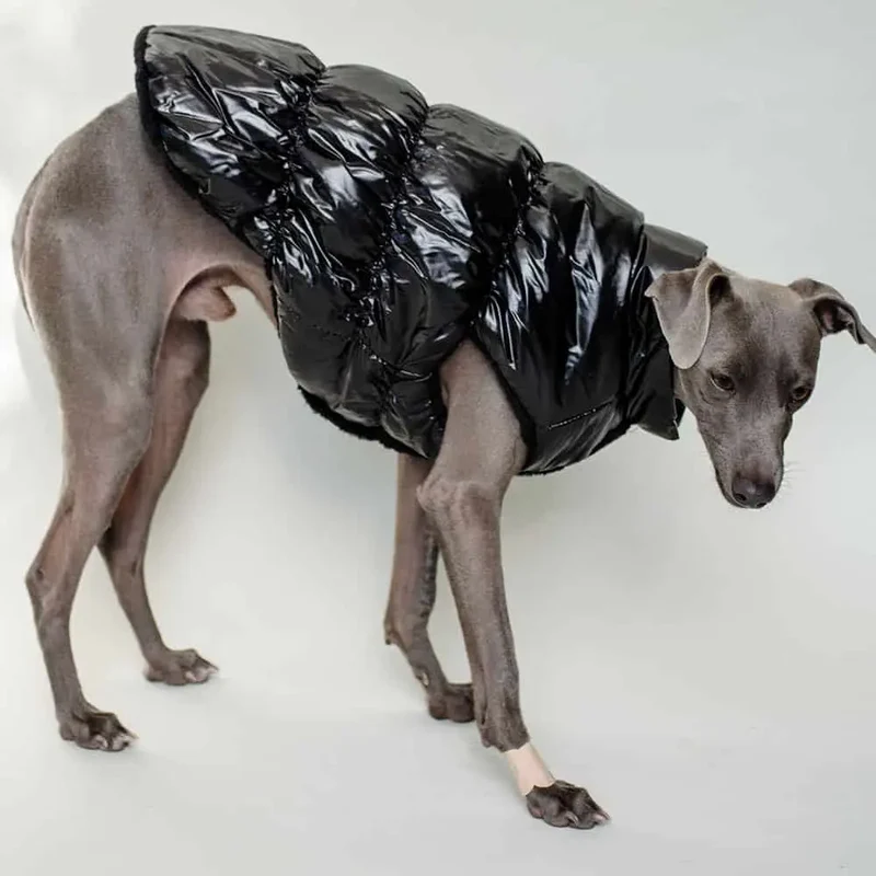 Hundemantel "MonPetit" - schwarz