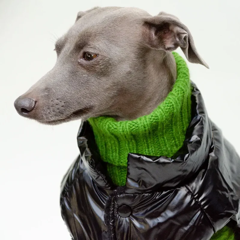 Hundemantel "MonPetit" - schwarz