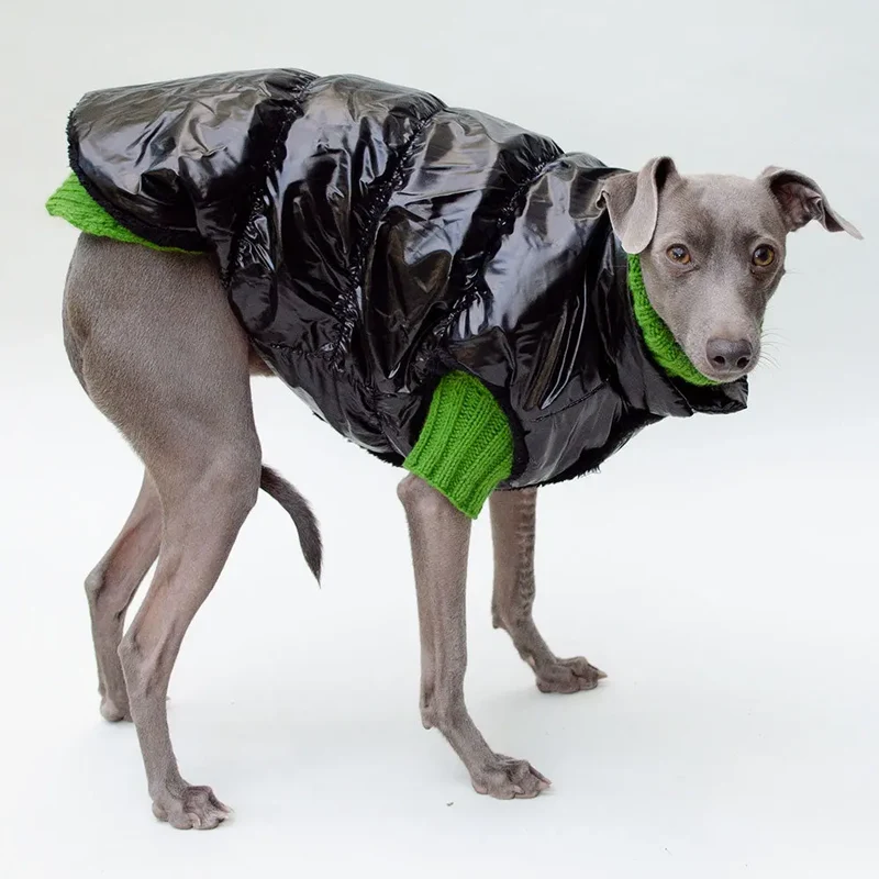 Hundemantel "MonPetit" - schwarz