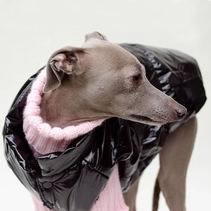 Hundemantel "MonPetit" - schwarz