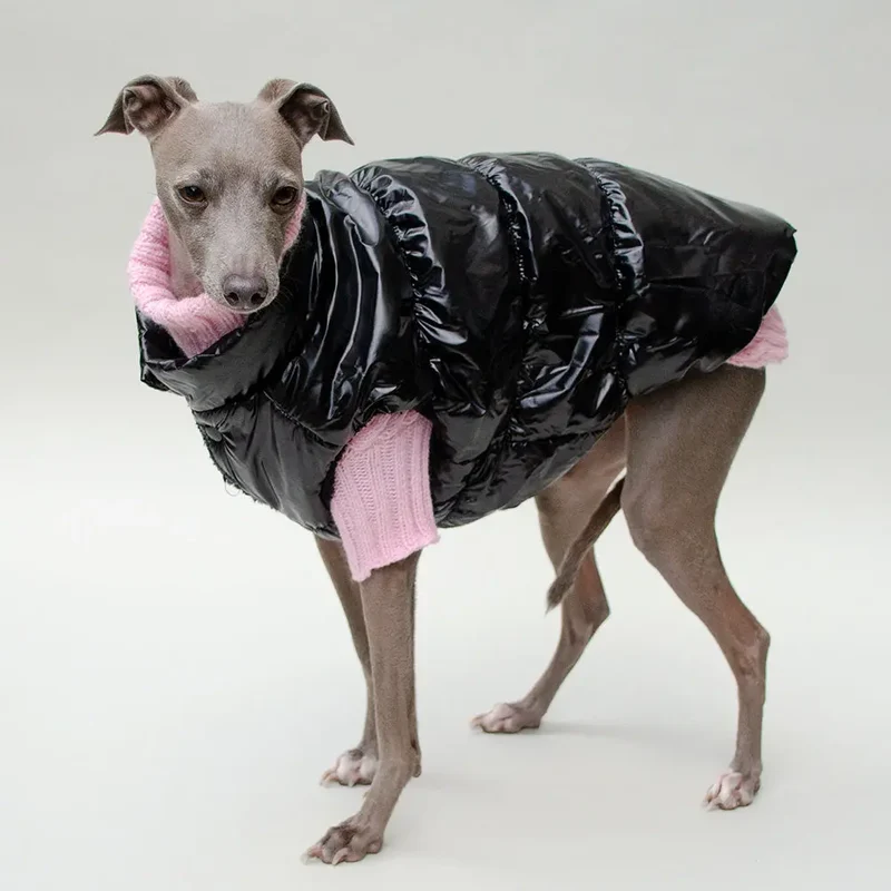 Hundemantel "MonPetit" - schwarz